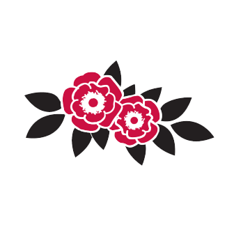 英国中央兰开夏大学工商管理博士DBA